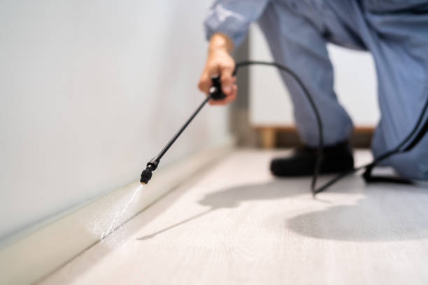 Licensed Mosquito Control service in Forest City, IA - Show Me Pest Control