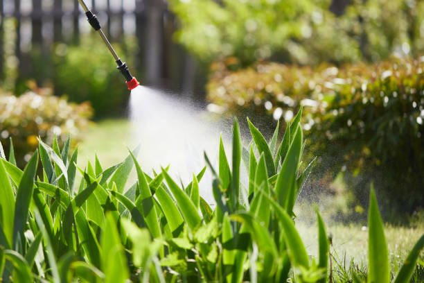 24/7 Emergency Mosquito Control experts in Forest City, IA